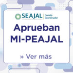 Imagen con texto "Mi-PEAJAL"